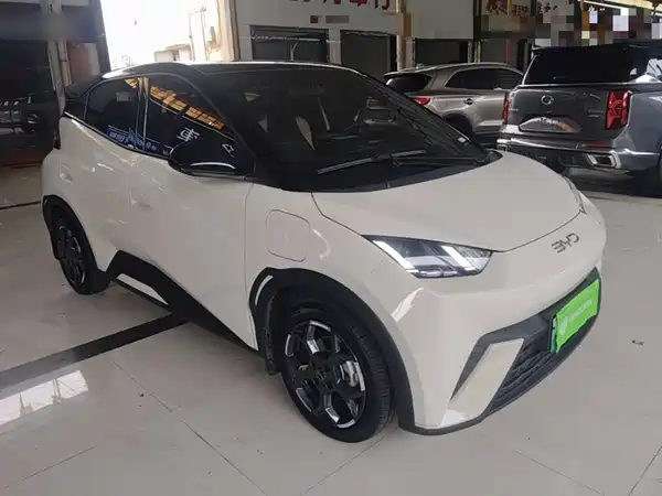 BYD Seagull 2024