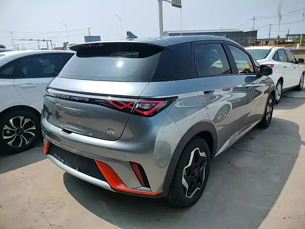 BYD Dolphin 2022