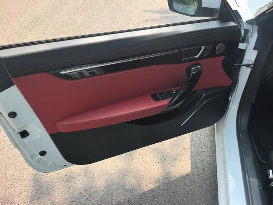Leapmotor Leap Running S01 2019