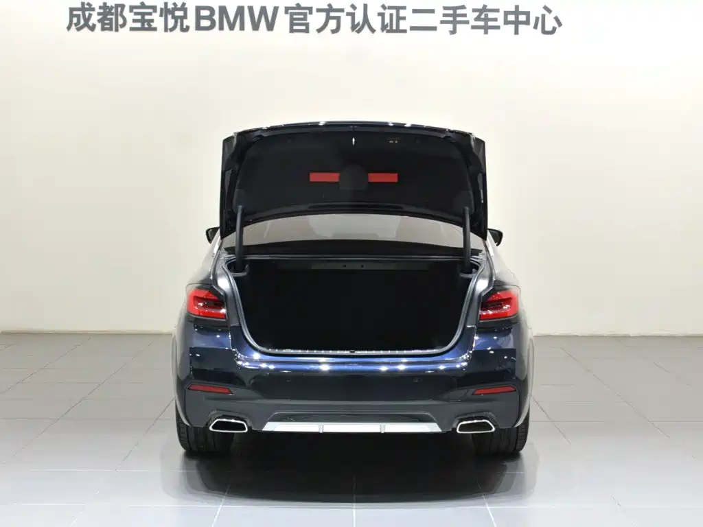 BMW 5 Series 2022