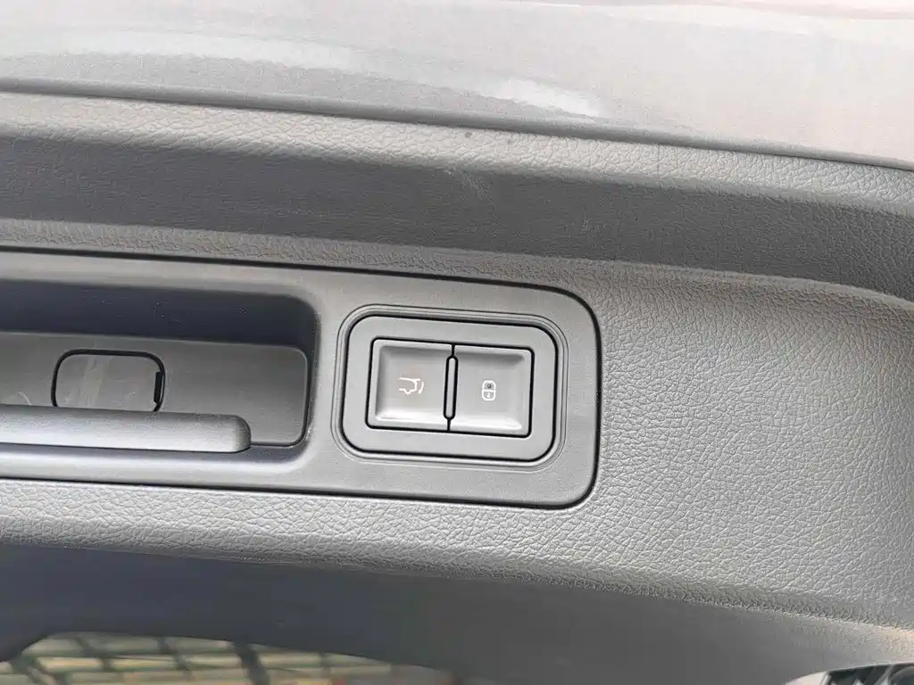 BYD Song PLUS New Energy 2024 — фото 20
