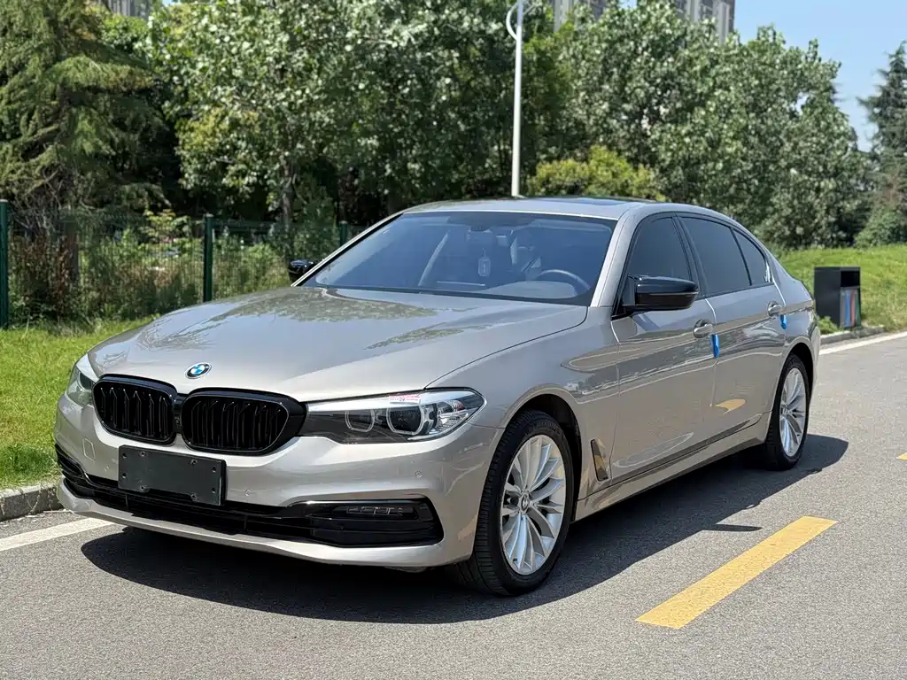 BMW 5 Series 2019