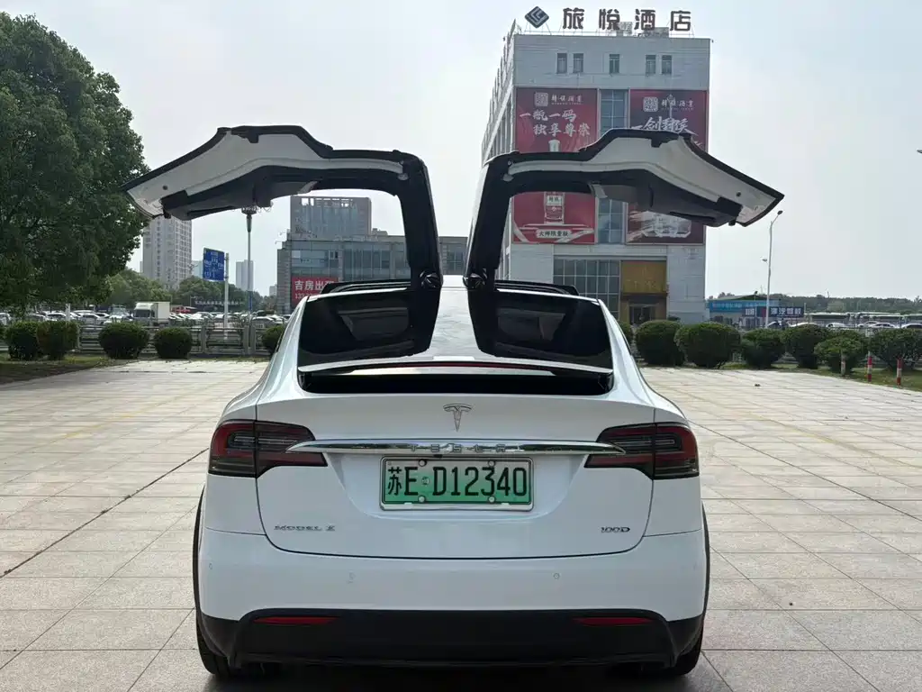 Tesla Model X 2019 — фото 8