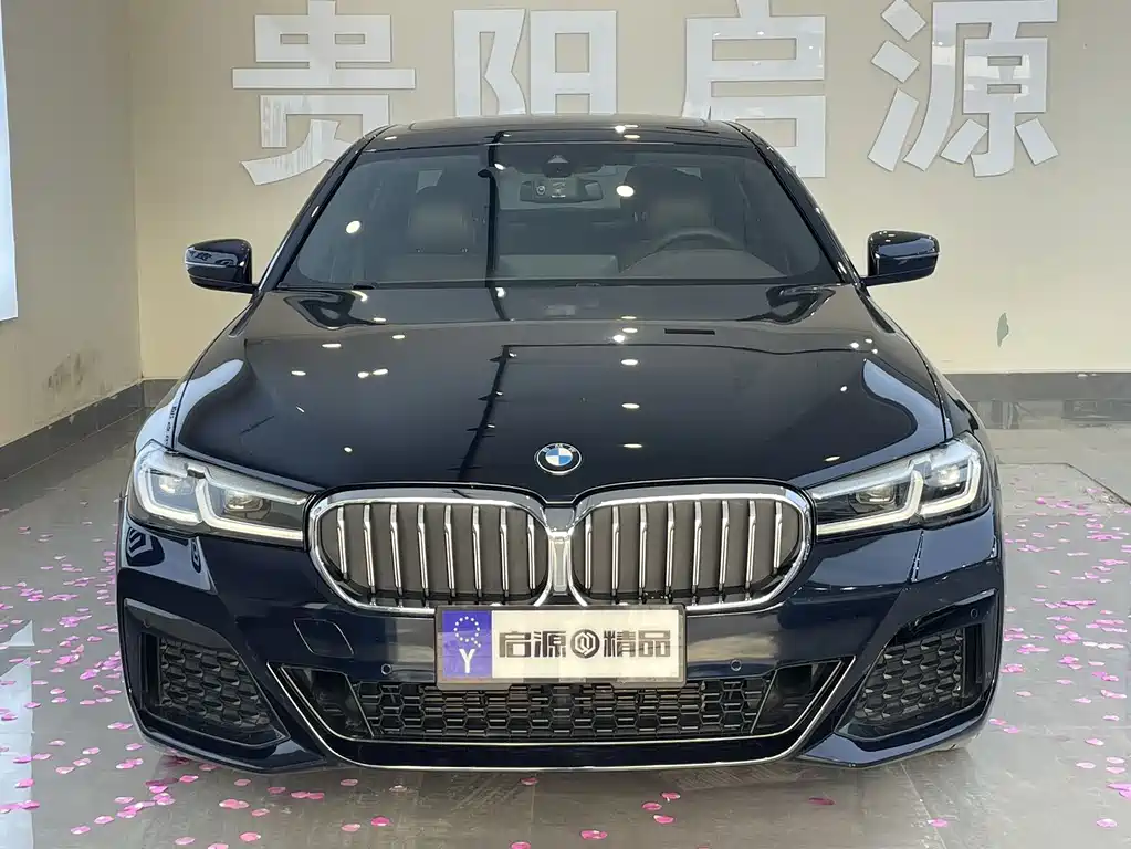 BMW 5 Series 2022