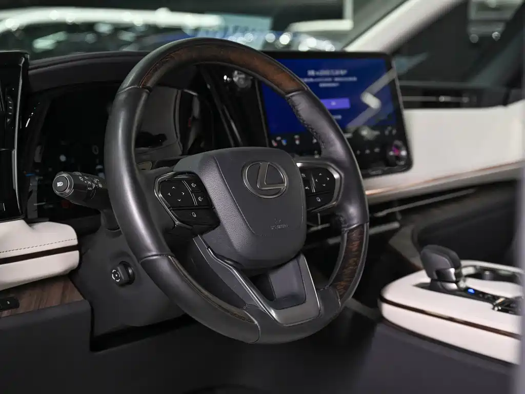 Lexus LM 2023 — фото 17