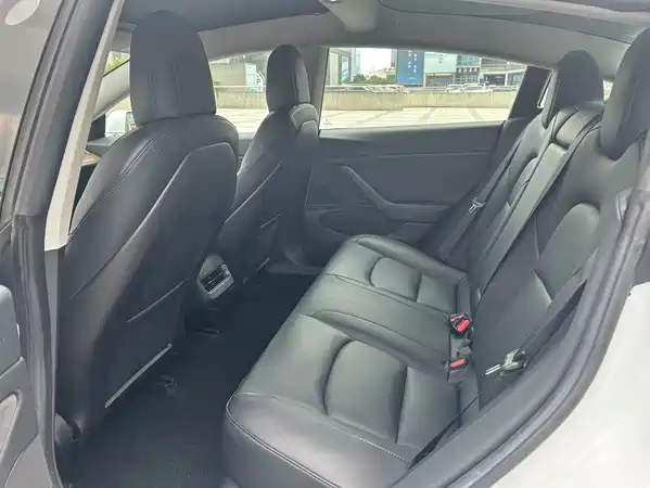 Tesla Model 3 2019