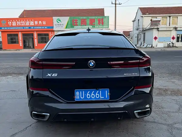 BMW X6 2022