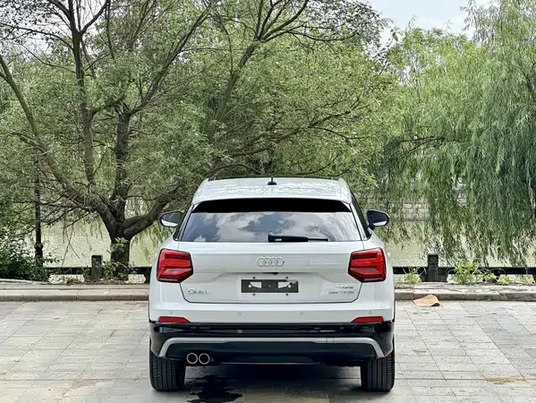 Audi Q2L 2020