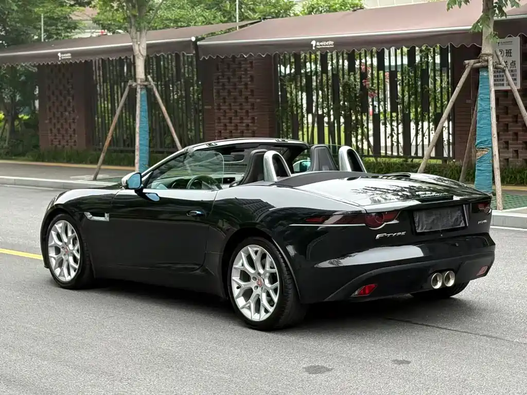 Jaguar F-TYPE 2019 — фото 20