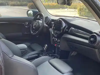 MINI MINI 2020
