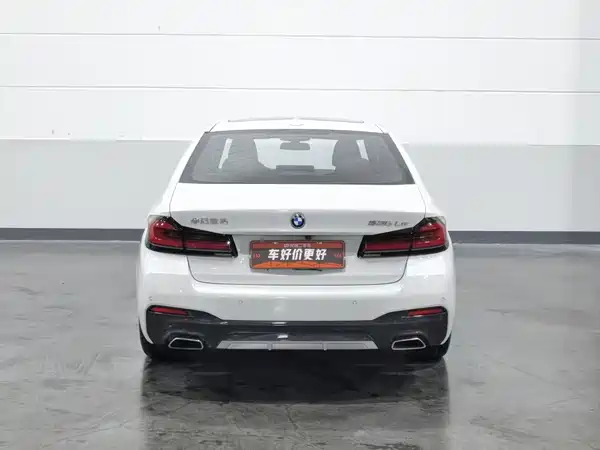 BMW 5 Series New Energy 2022