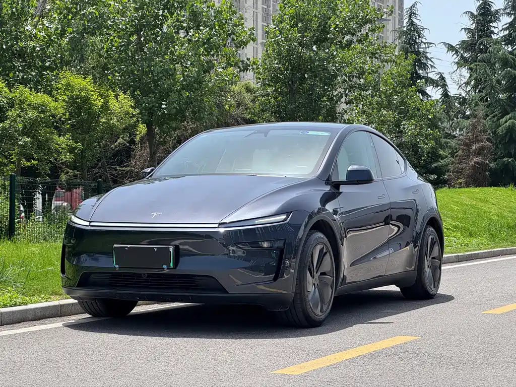 Tesla Model Y 2025 — фото 1