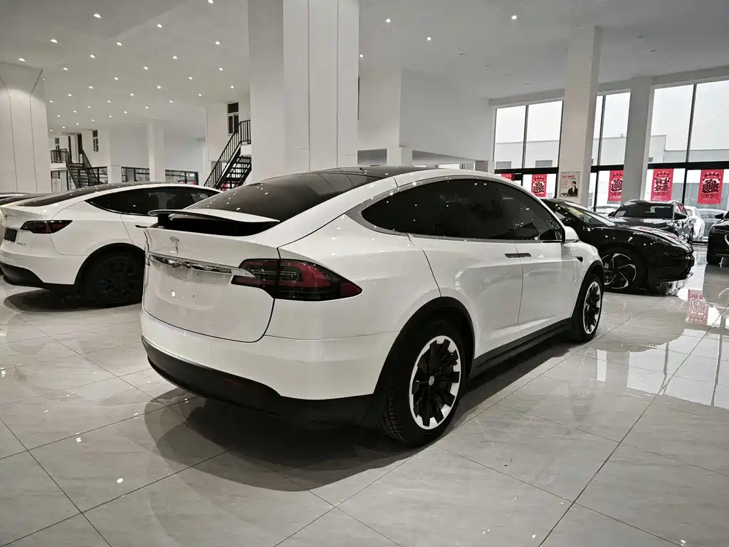 Tesla Model X 2020 — фото 4