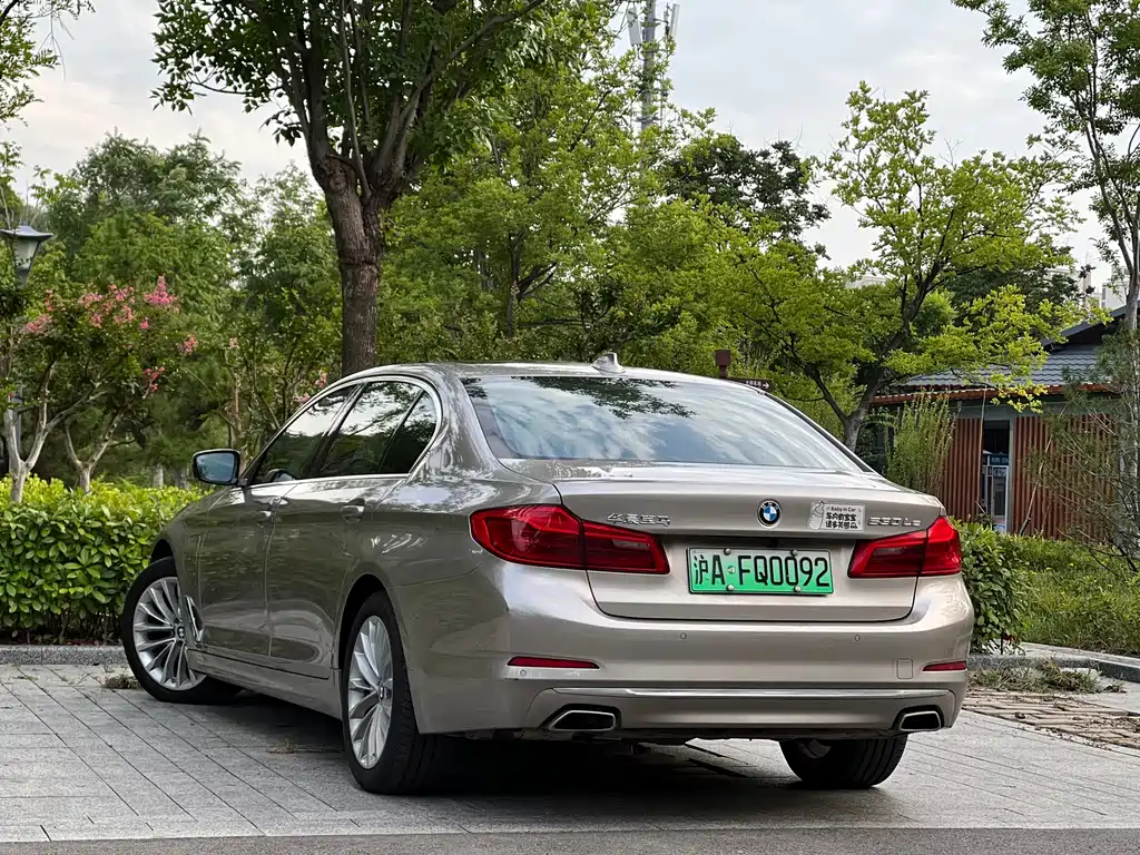 BMW 5 Series New Energy 2020