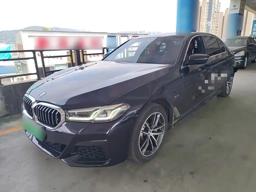 BMW 5 Series New Energy 2022