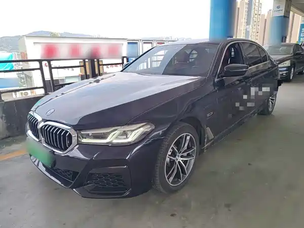 BMW 5 Series New Energy 2022