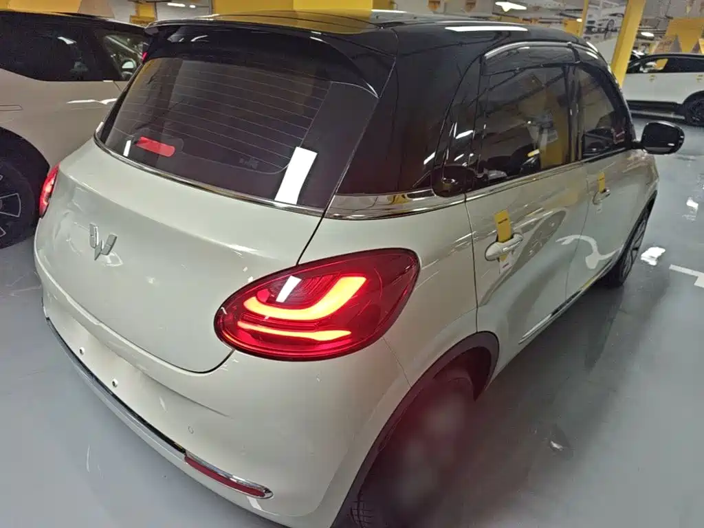 Wuling Bingo 2024