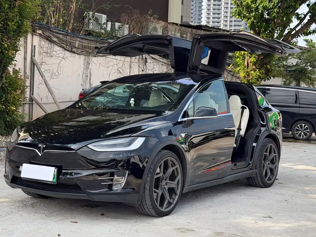 Tesla Model X 2019 — фото 1