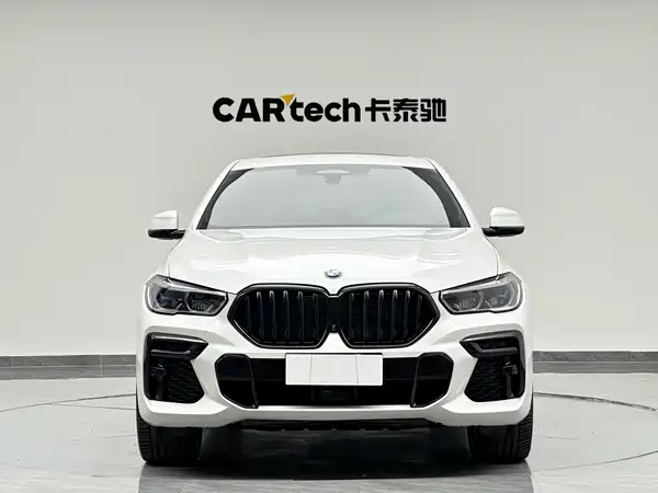 BMW X6 2022
