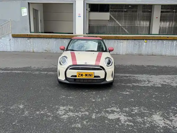 MINI MINI 2022