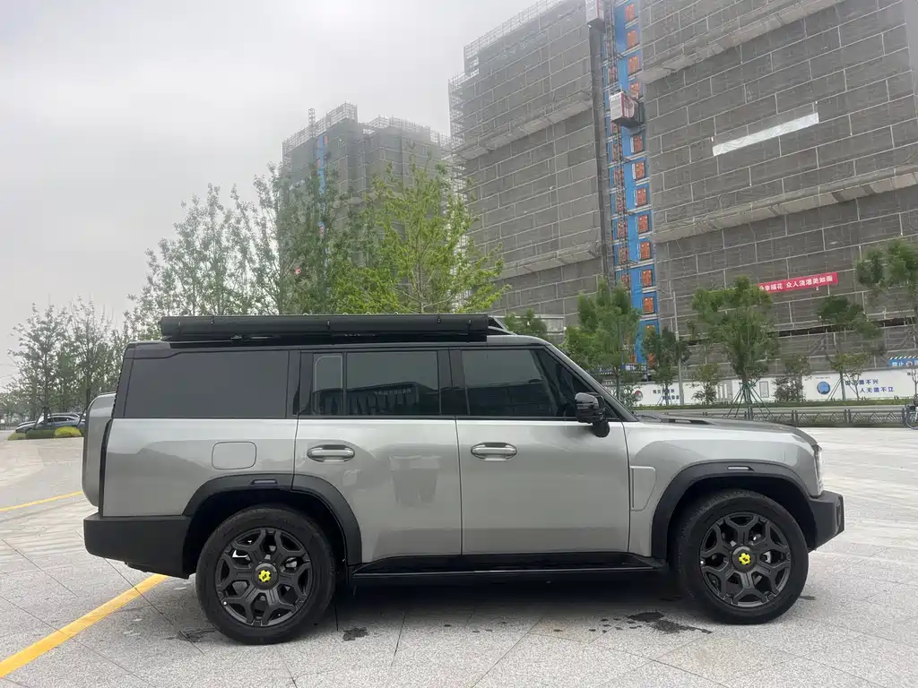 Shanhai Traveller C-DM 2025 — фото 10