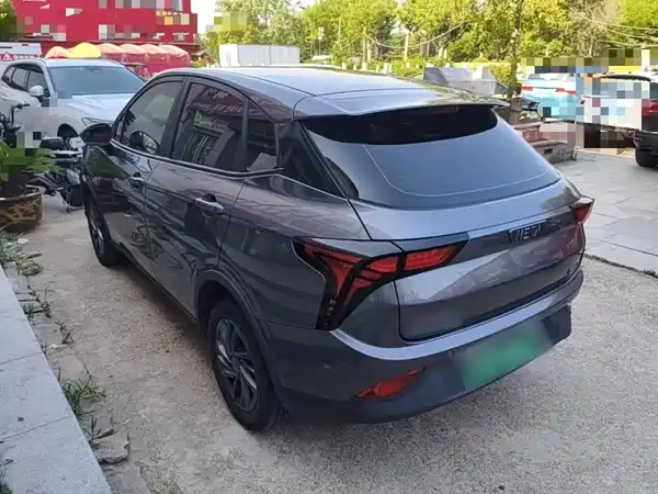 Neta V 2021