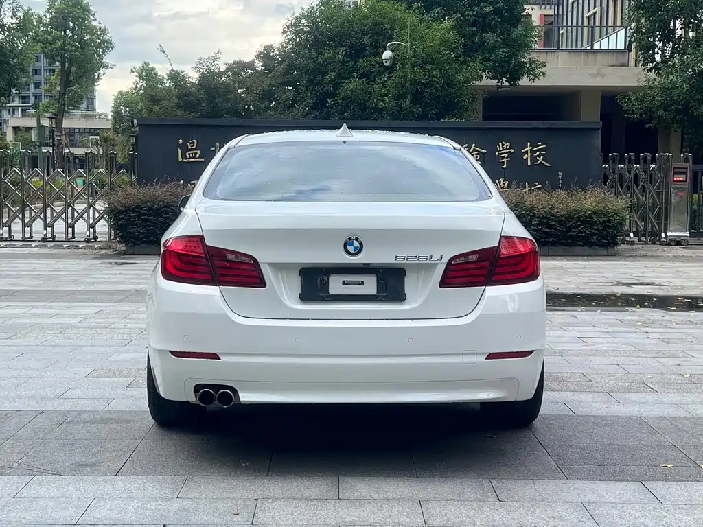 BMW 5 Series 2013