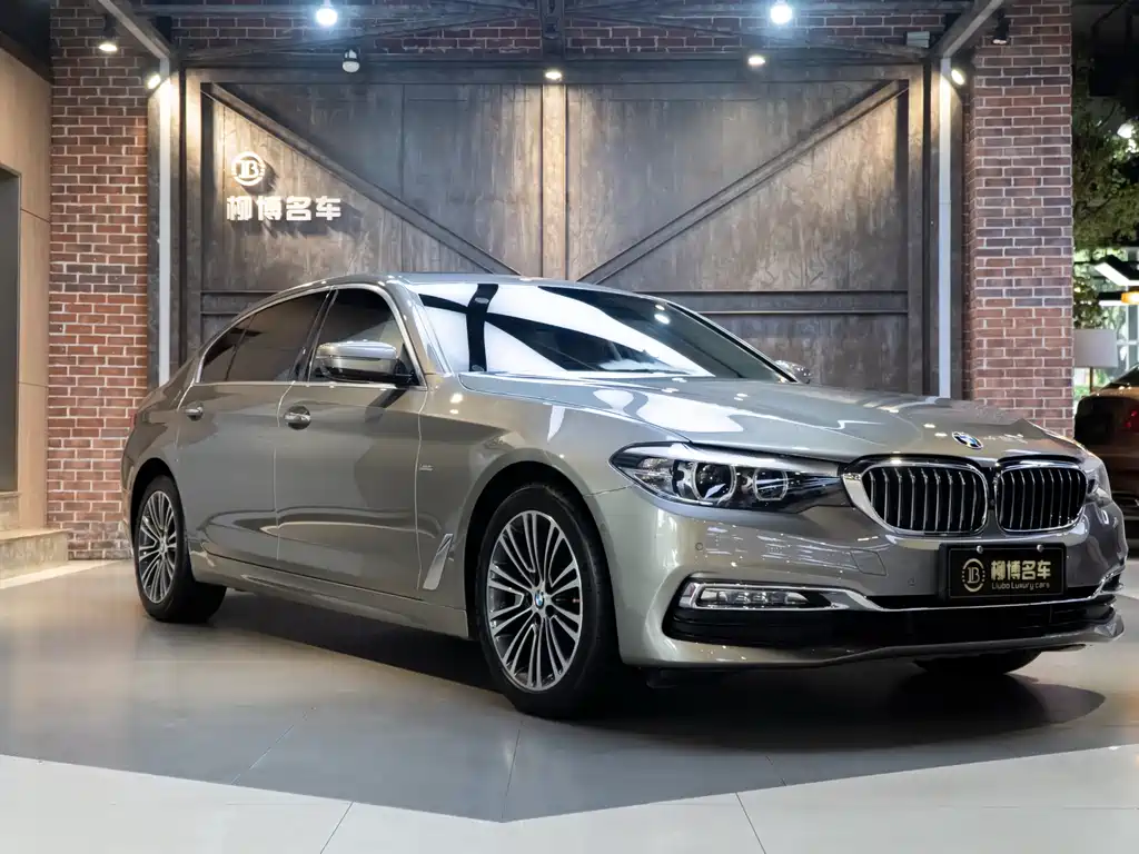 BMW 5 Series 2018 — фото 19