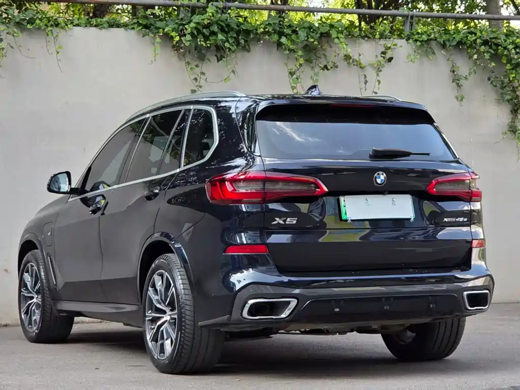 BMW X5 New Energy 2020 — фото 51