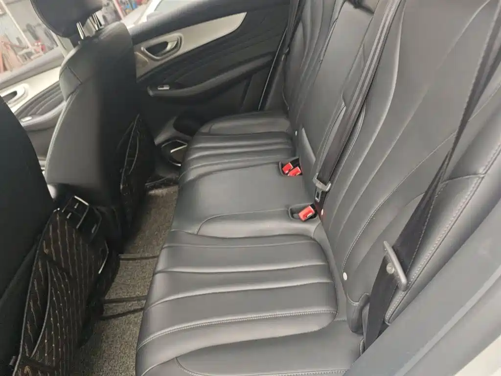 Roewe RX5 MAX 2020 — фото 15