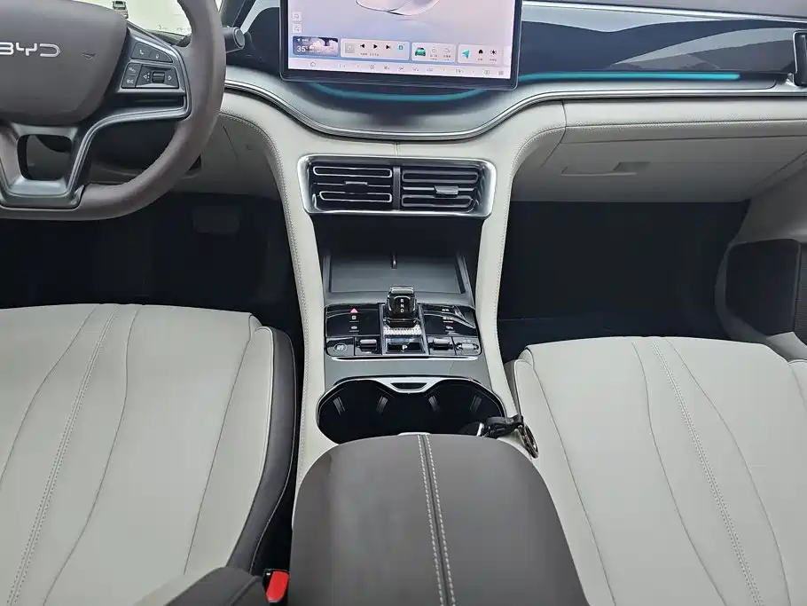 BYD Song PLUS New Energy 2025 — фото 16