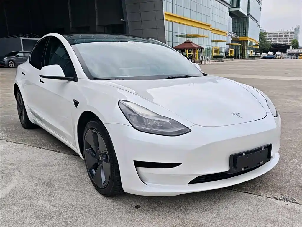 Tesla Model 3 2021 — фото 2