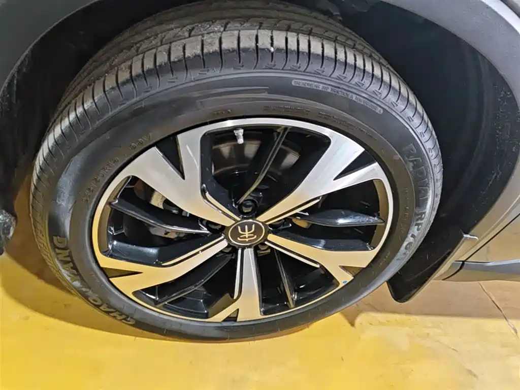 BYD Pro New Energy 2024 — фото 23