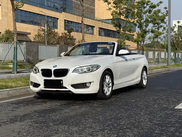 BMW 2 Series 2015