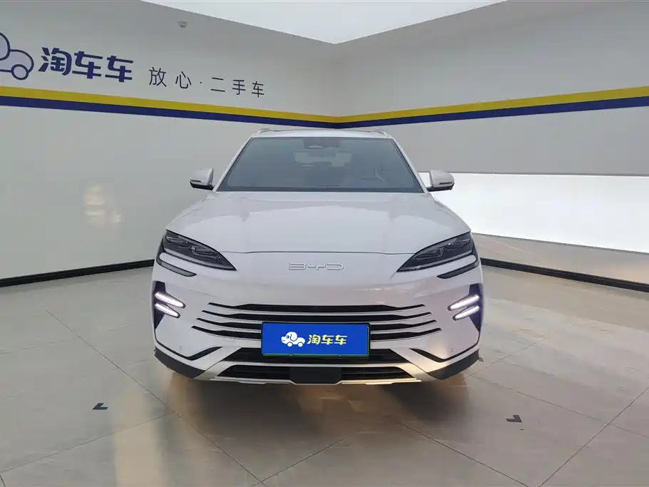 BYD PLUS New Energy 2023 — фото 2