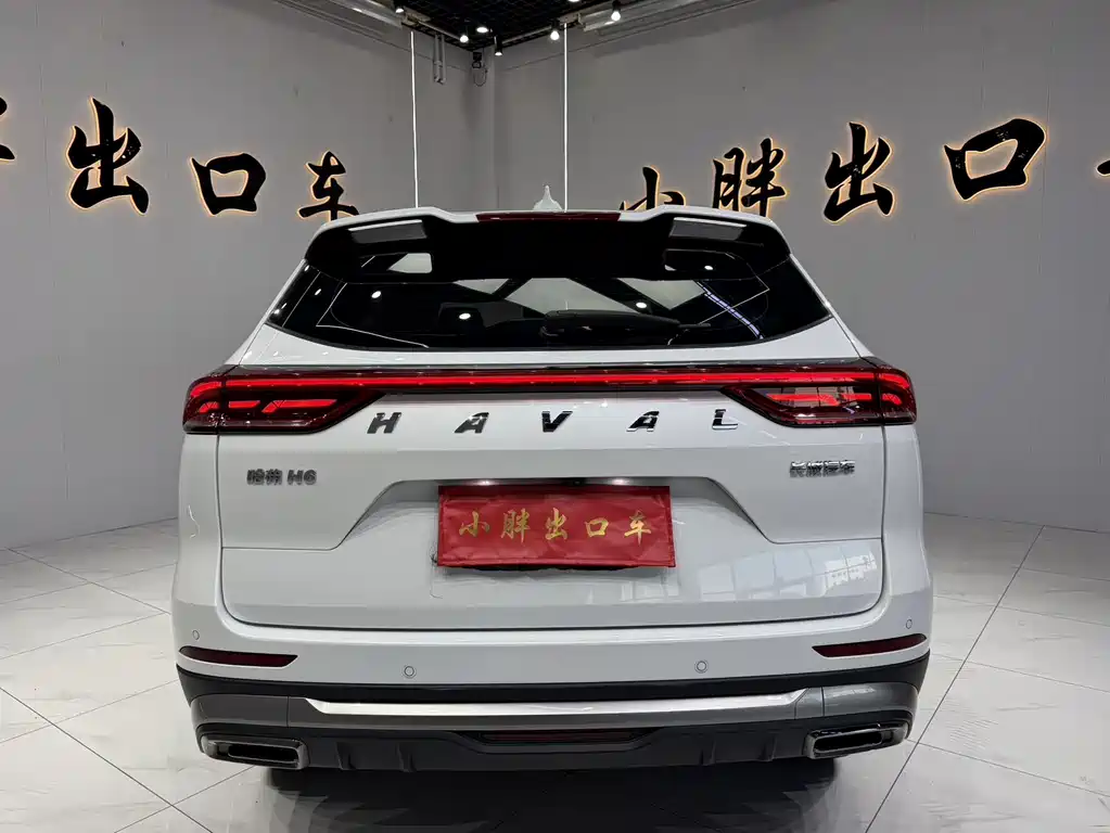 Haval H6 2023 — фото 5