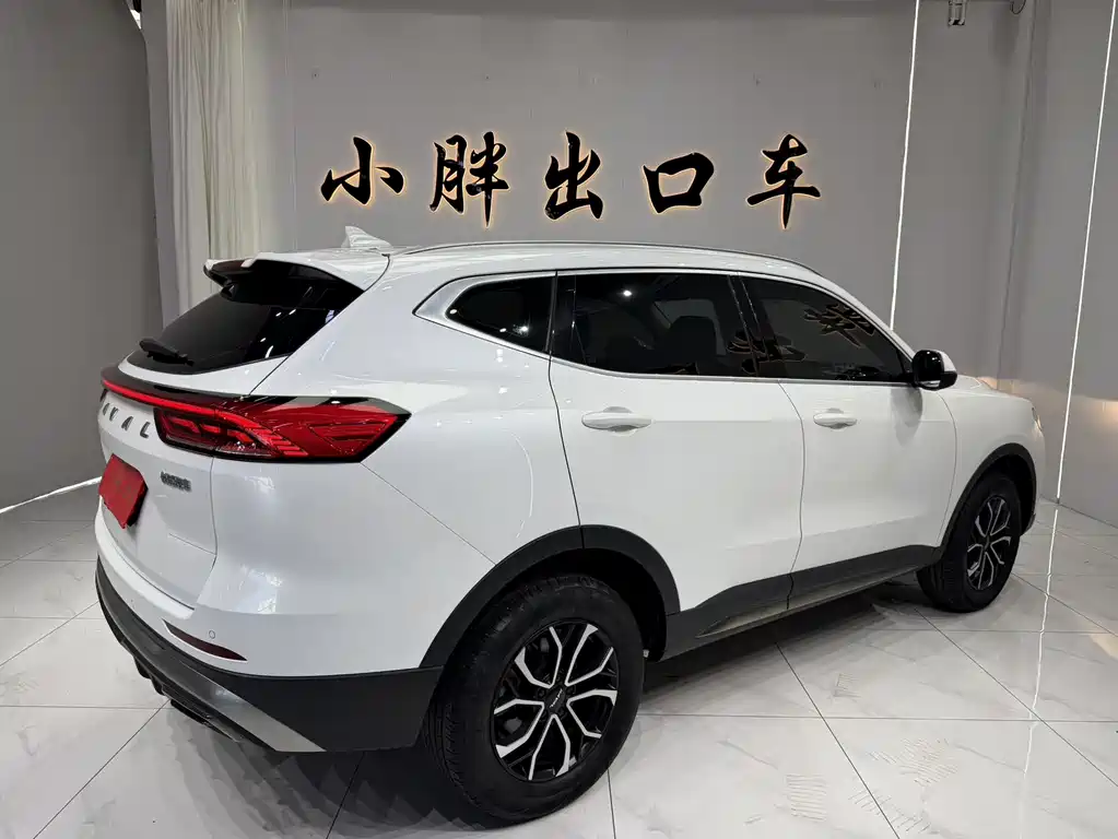 Haval H6 2023 — фото 4