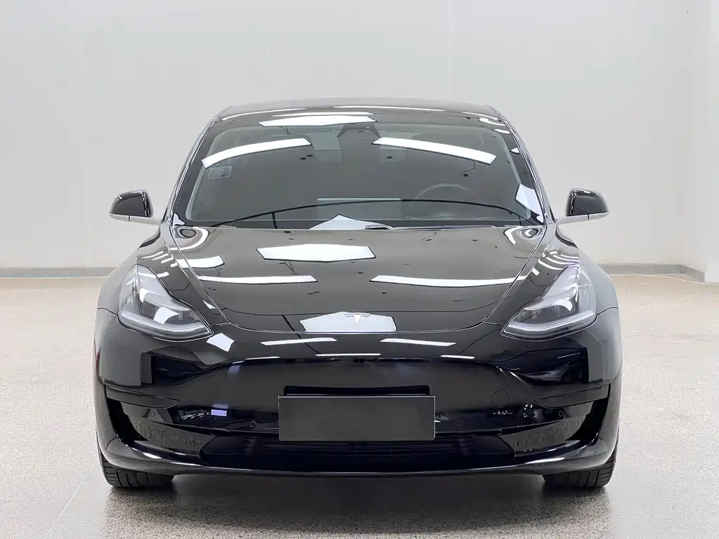 Tesla Model 3 2020 — фото 2