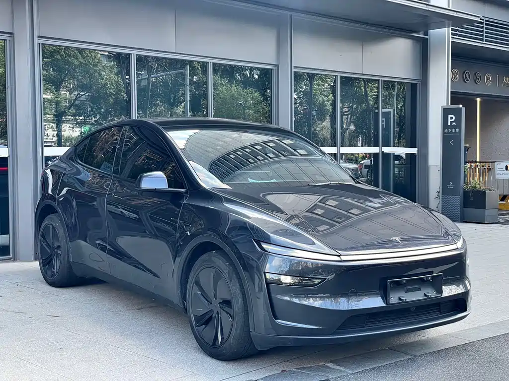 Tesla Model Y 2025 — фото 3