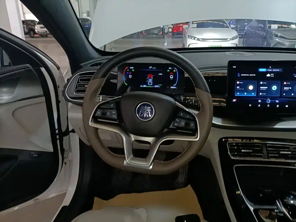 BYD Qin PLUS 2024 — фото 11