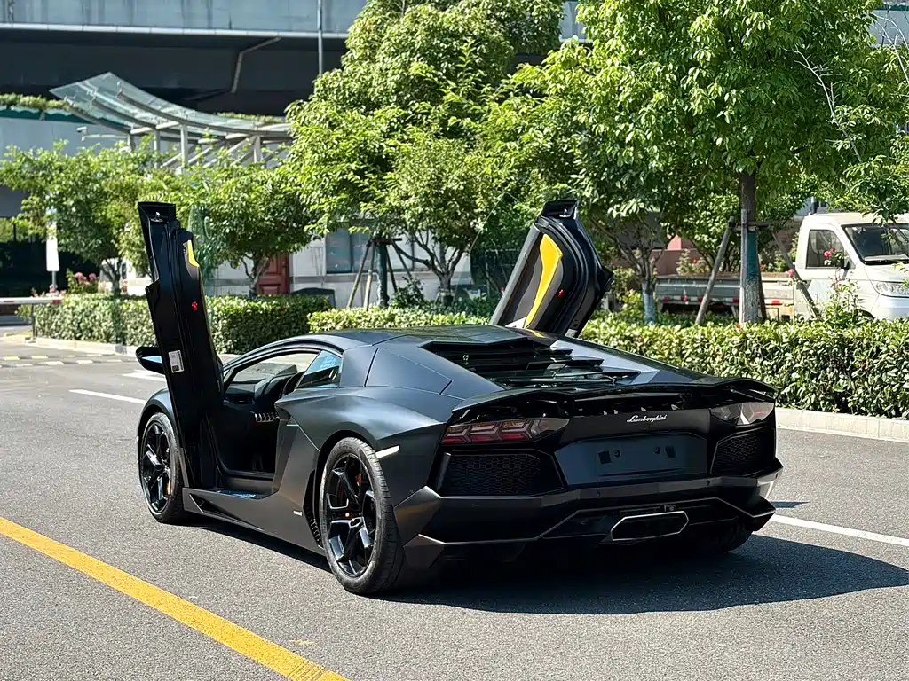 Lamborghini Aventador 2013 — фото 6