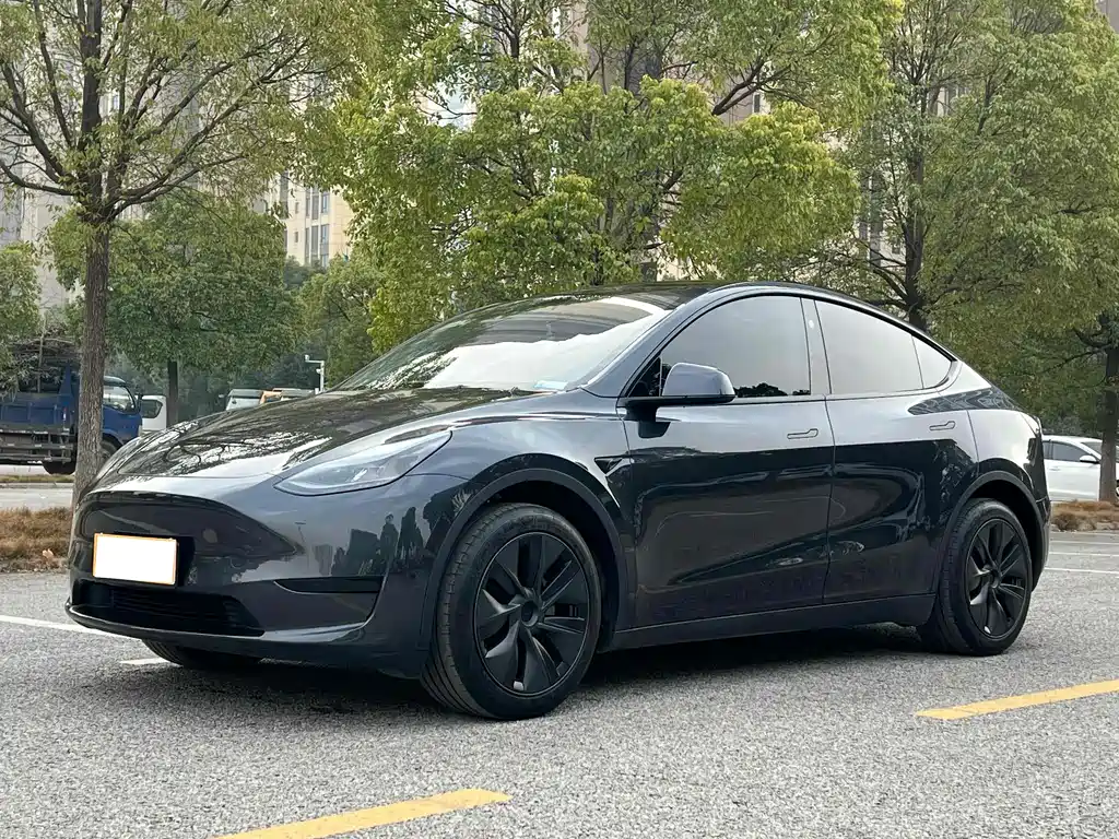 Tesla Model Y 2024 — фото 1