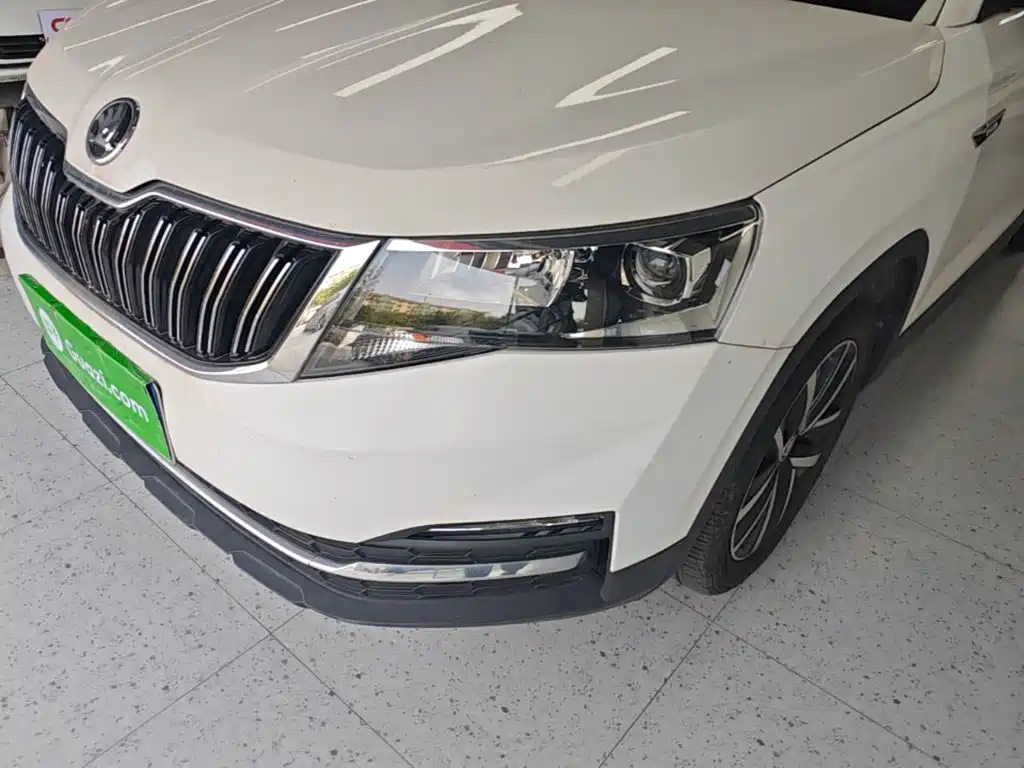 Skoda Kamiq 2021 — фото 24