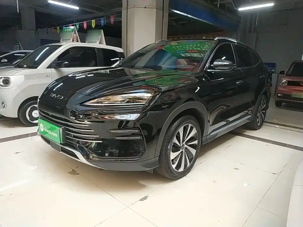 BYD PLUS New Energy 2023 — фото 2