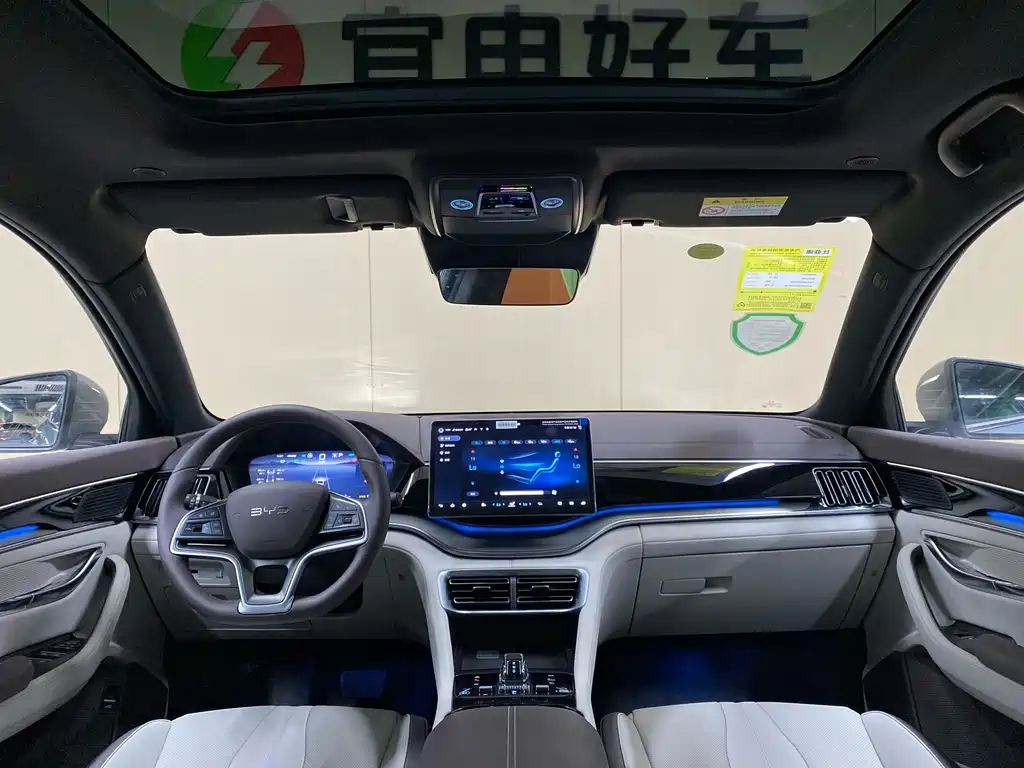 BYD PLUS New Energy 2024 — фото 15