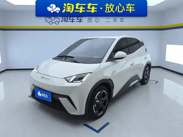 BYD Seagull 2024
