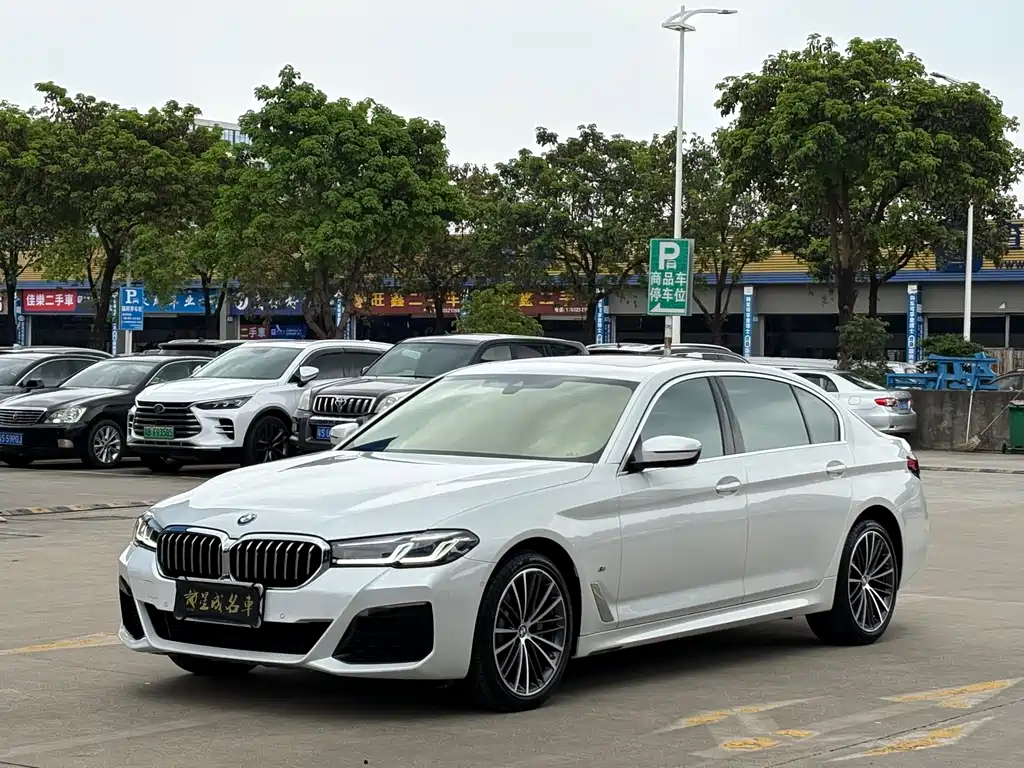 BMW 5 Series 2021