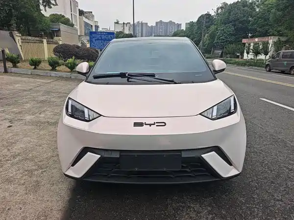 BYD Seagull 2024