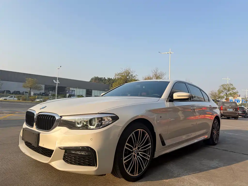 BMW 5 Series 2019 — фото 1