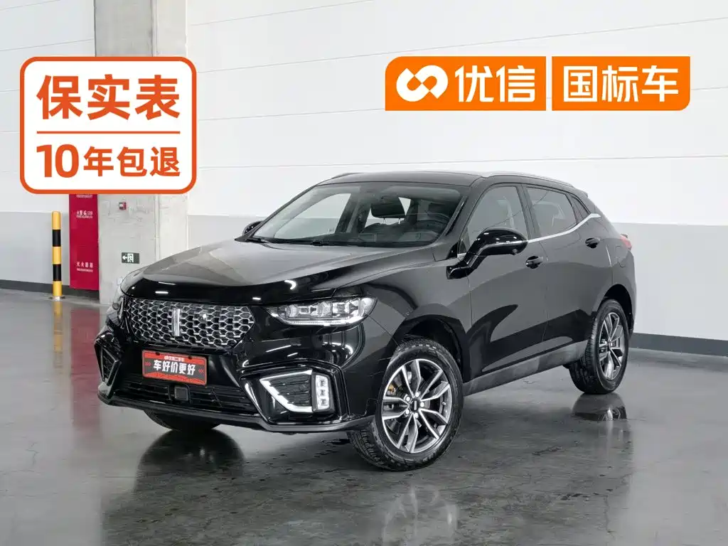 Wey VV5 2020